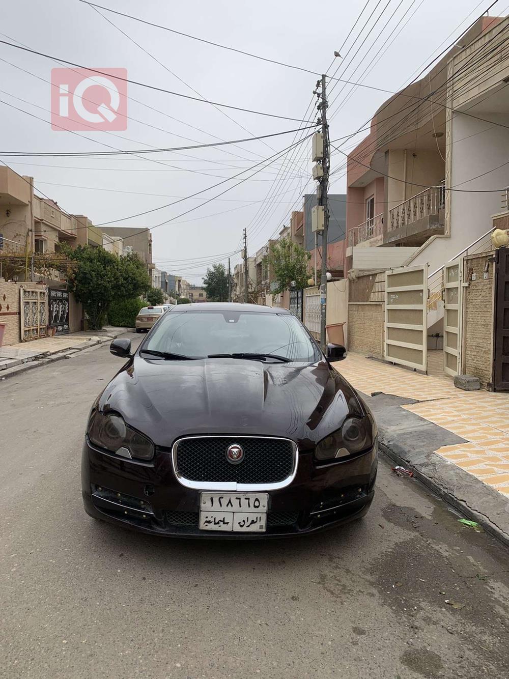 جاگوار XF